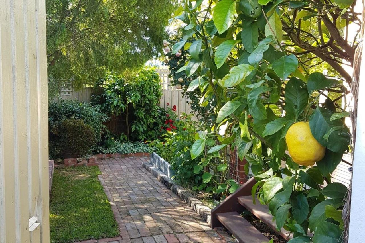 Healesville House - Fig Tree House المظهر الخارجي الصورة